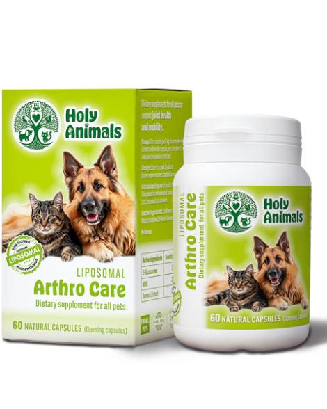Holy Animals Liposomal Arthro Care, 60 capsules
